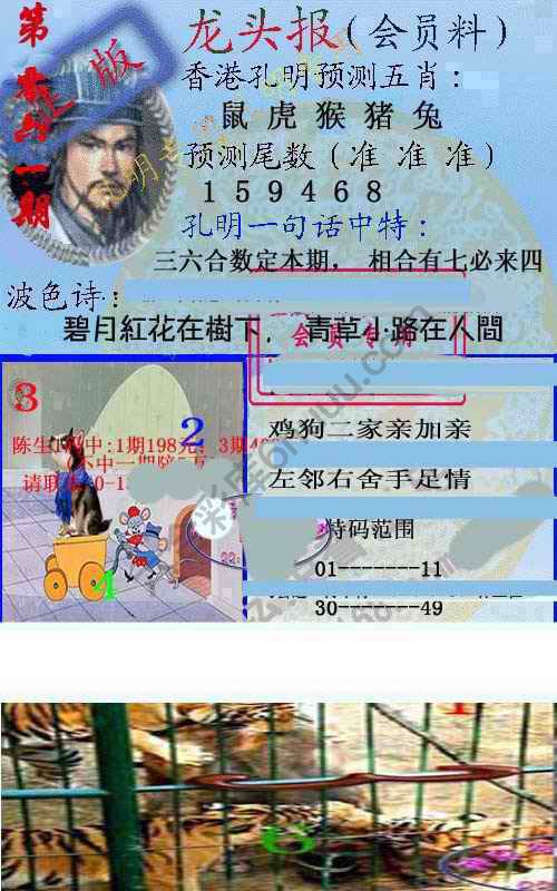 龙头报
