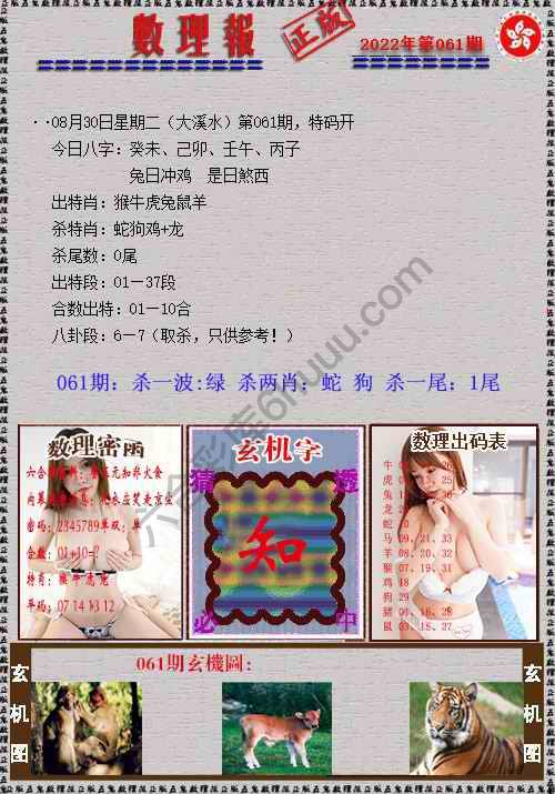 数理报