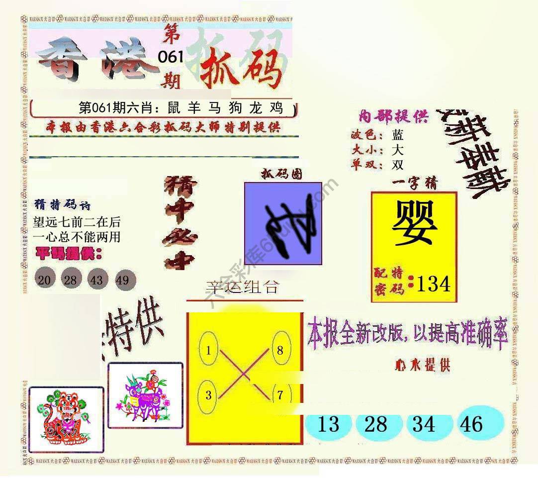 新抓码王