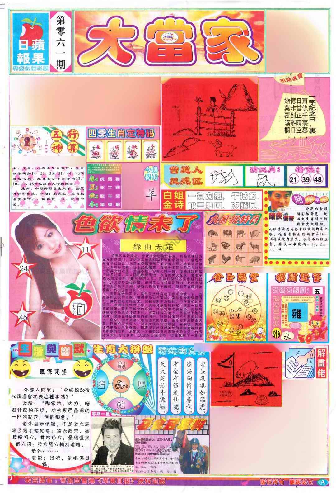大当家
