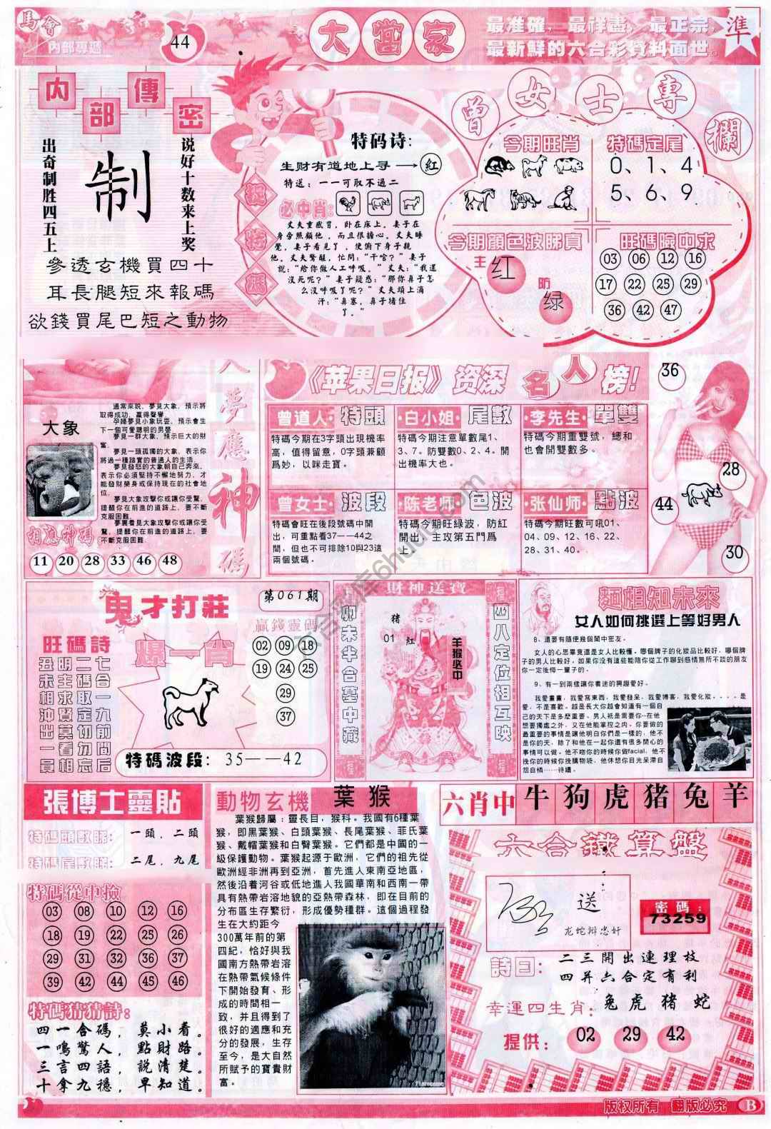 大当家