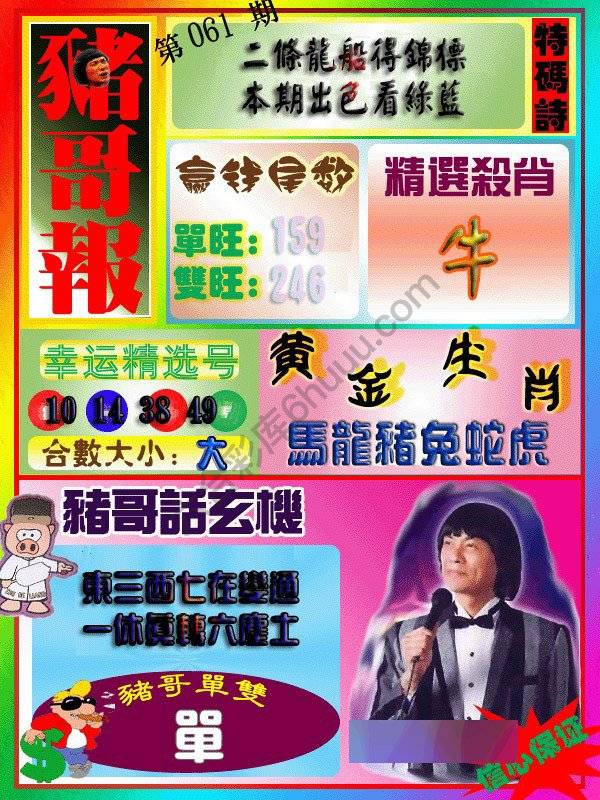 猪哥报