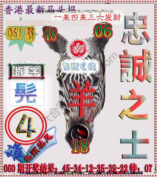 香港马头报
