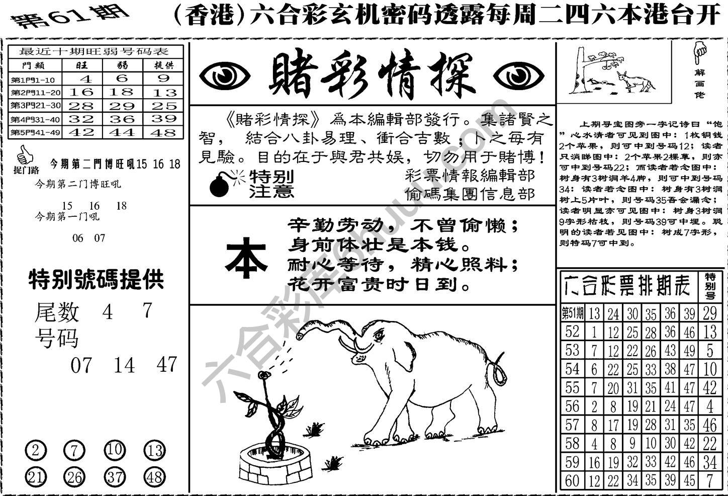 赌彩情探
