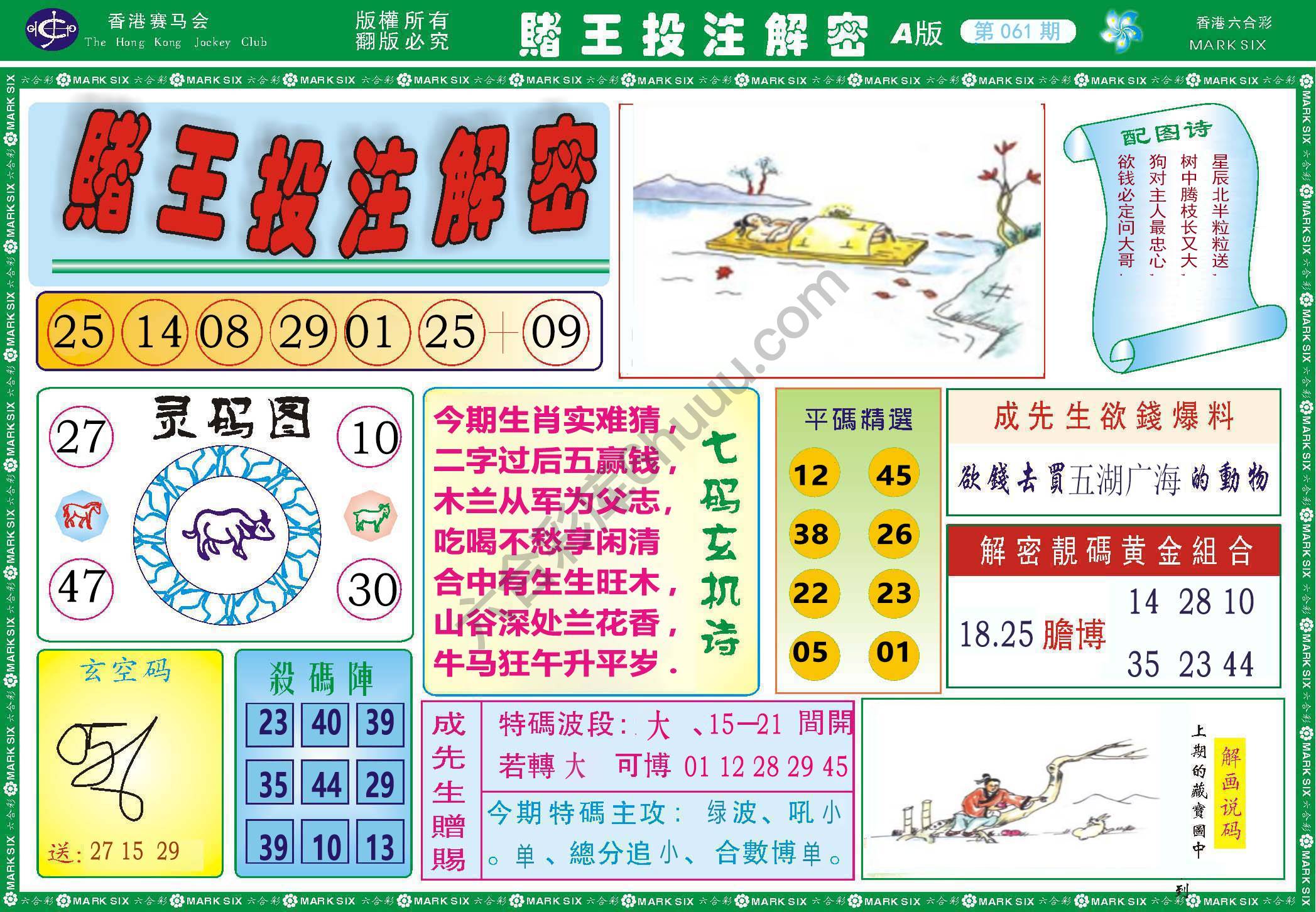 赌王投注解密