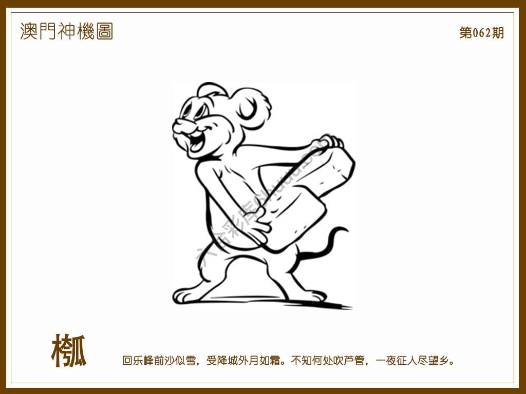 澳门神机图
