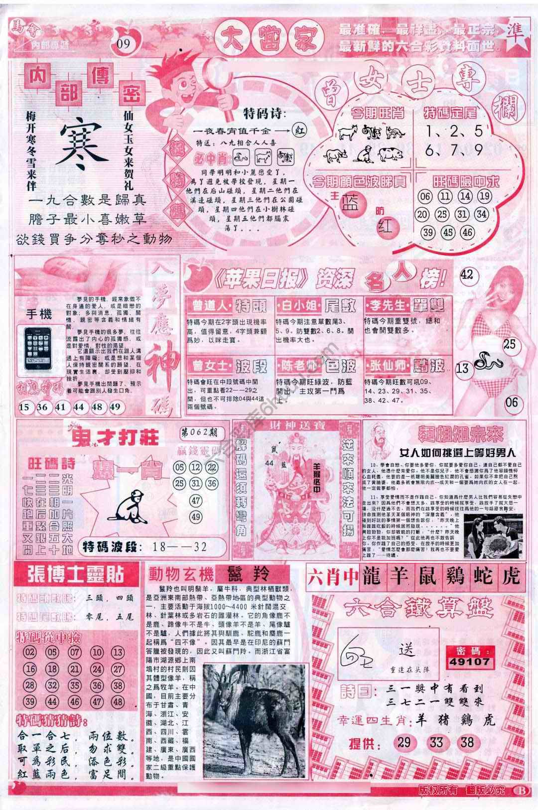 大当家