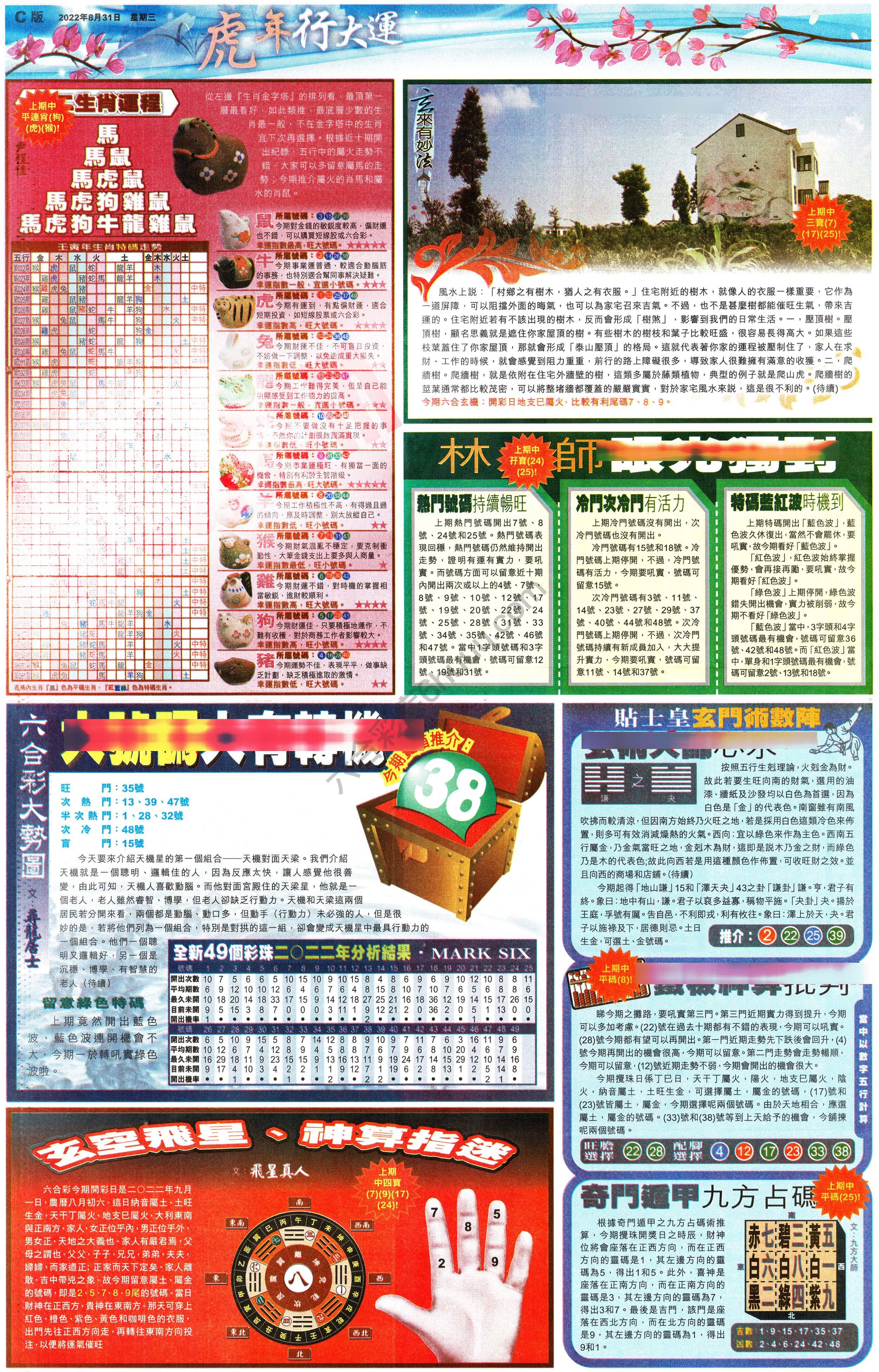 大版贴士皇