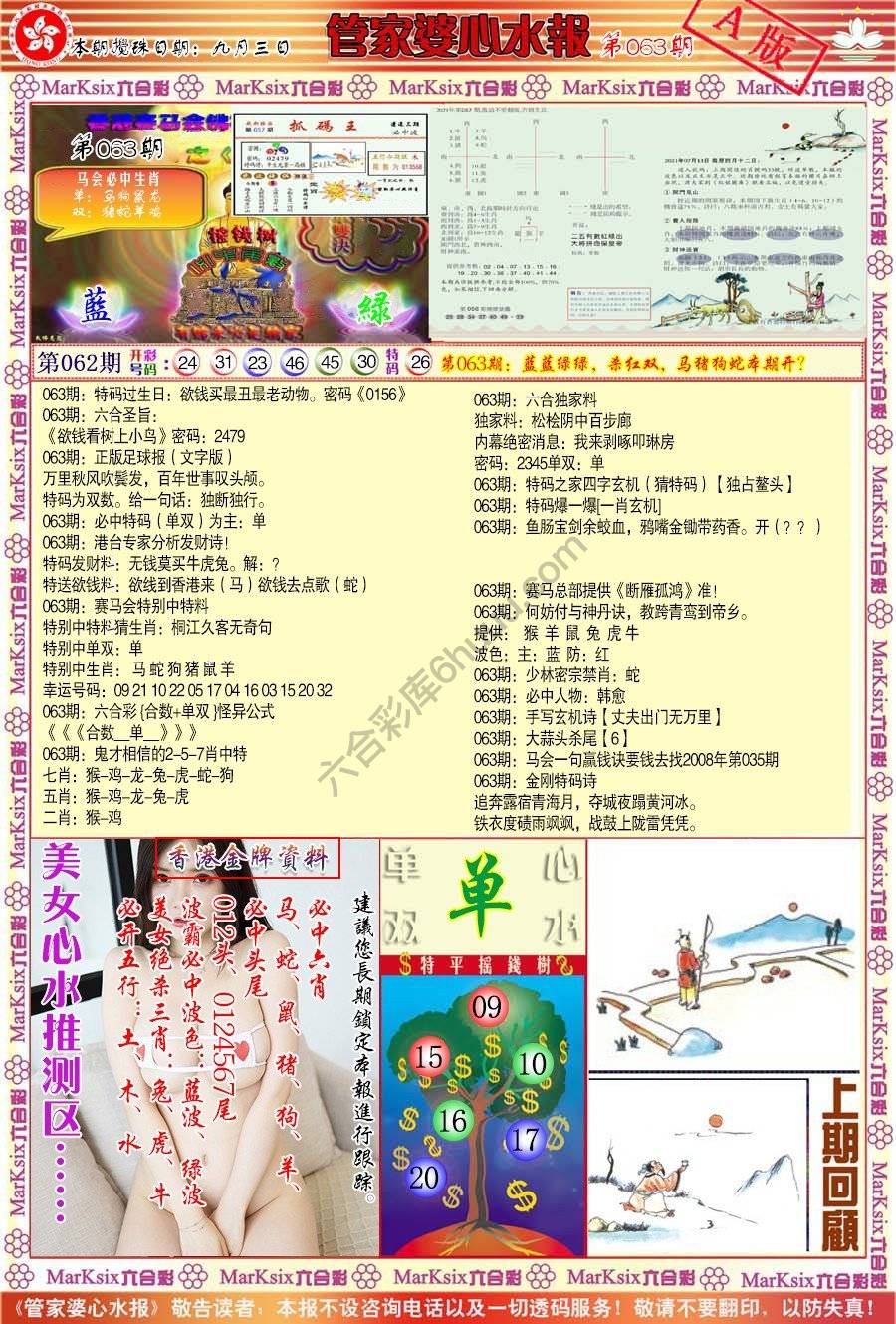管家婆心水报