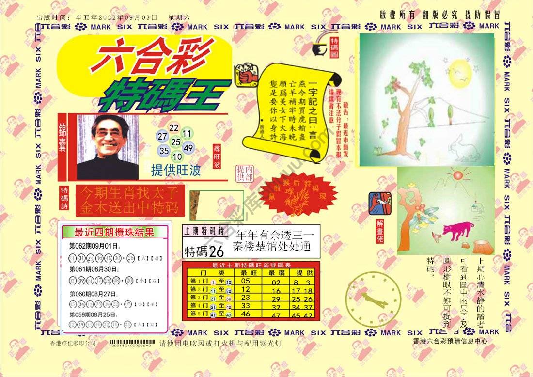 特码王