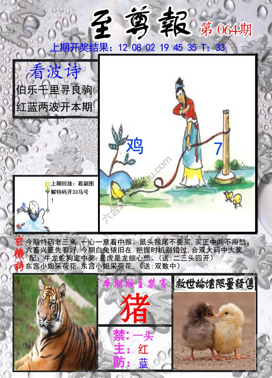 至尊报