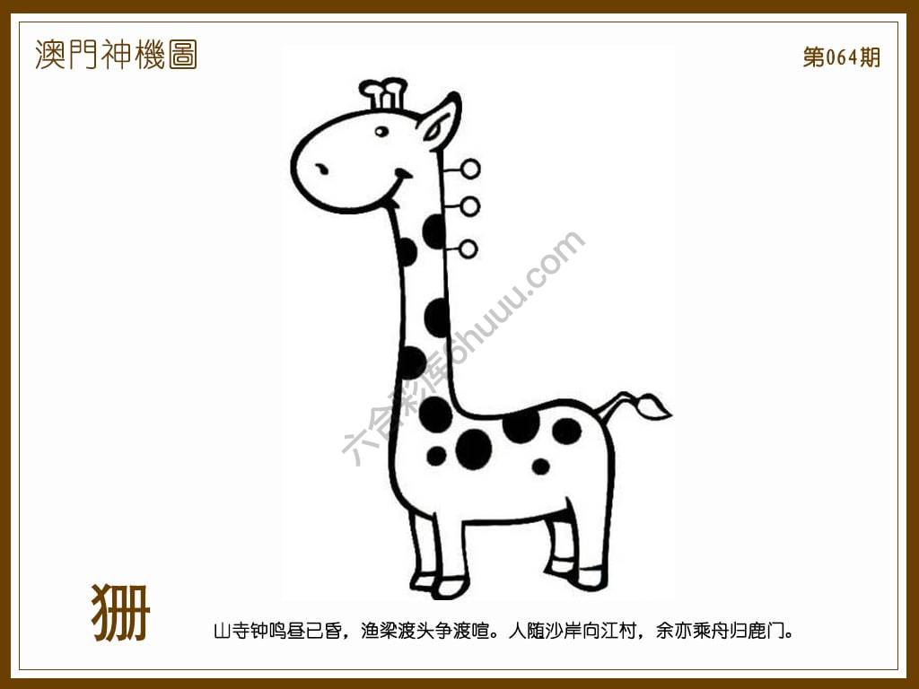 澳门神机图