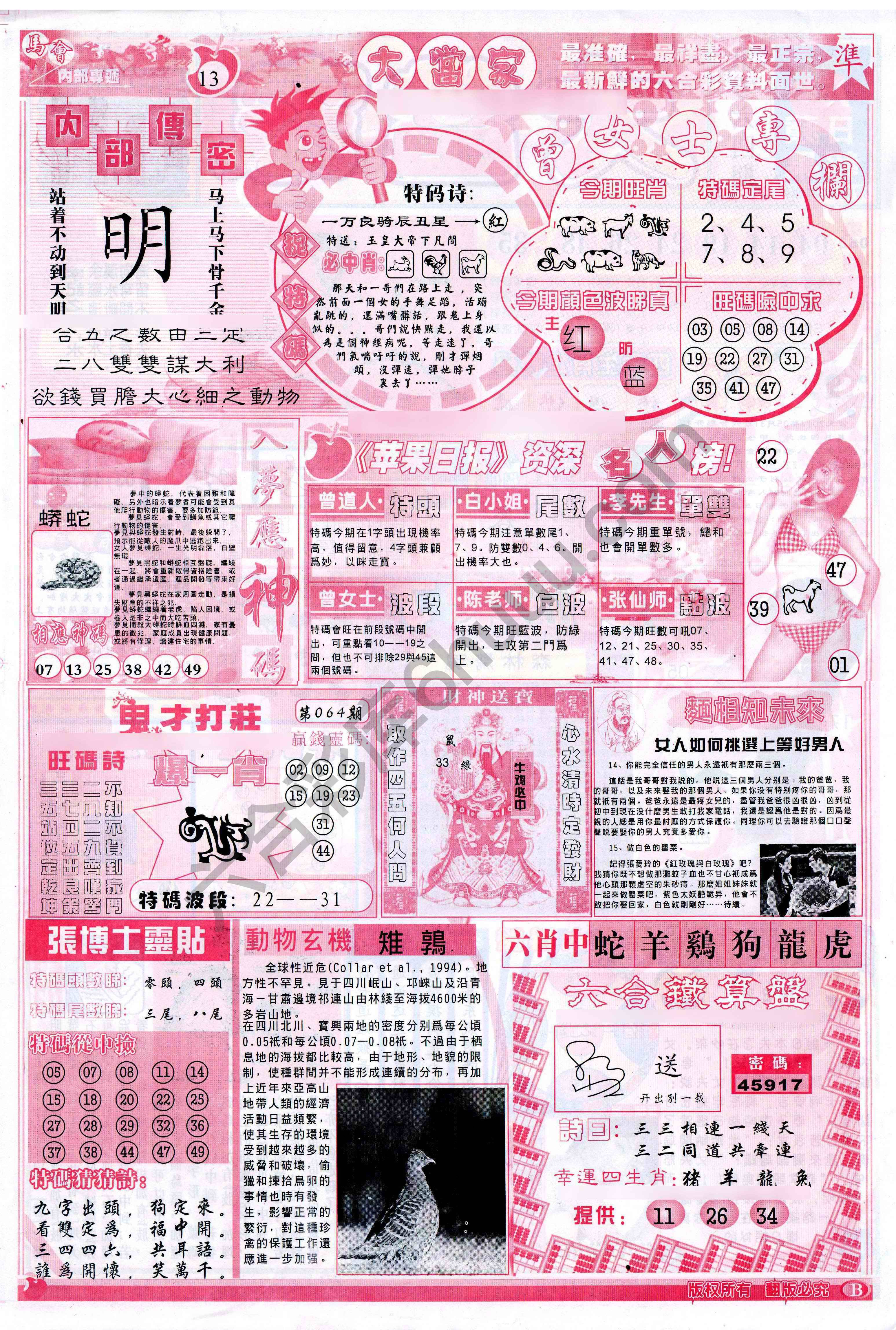 大当家