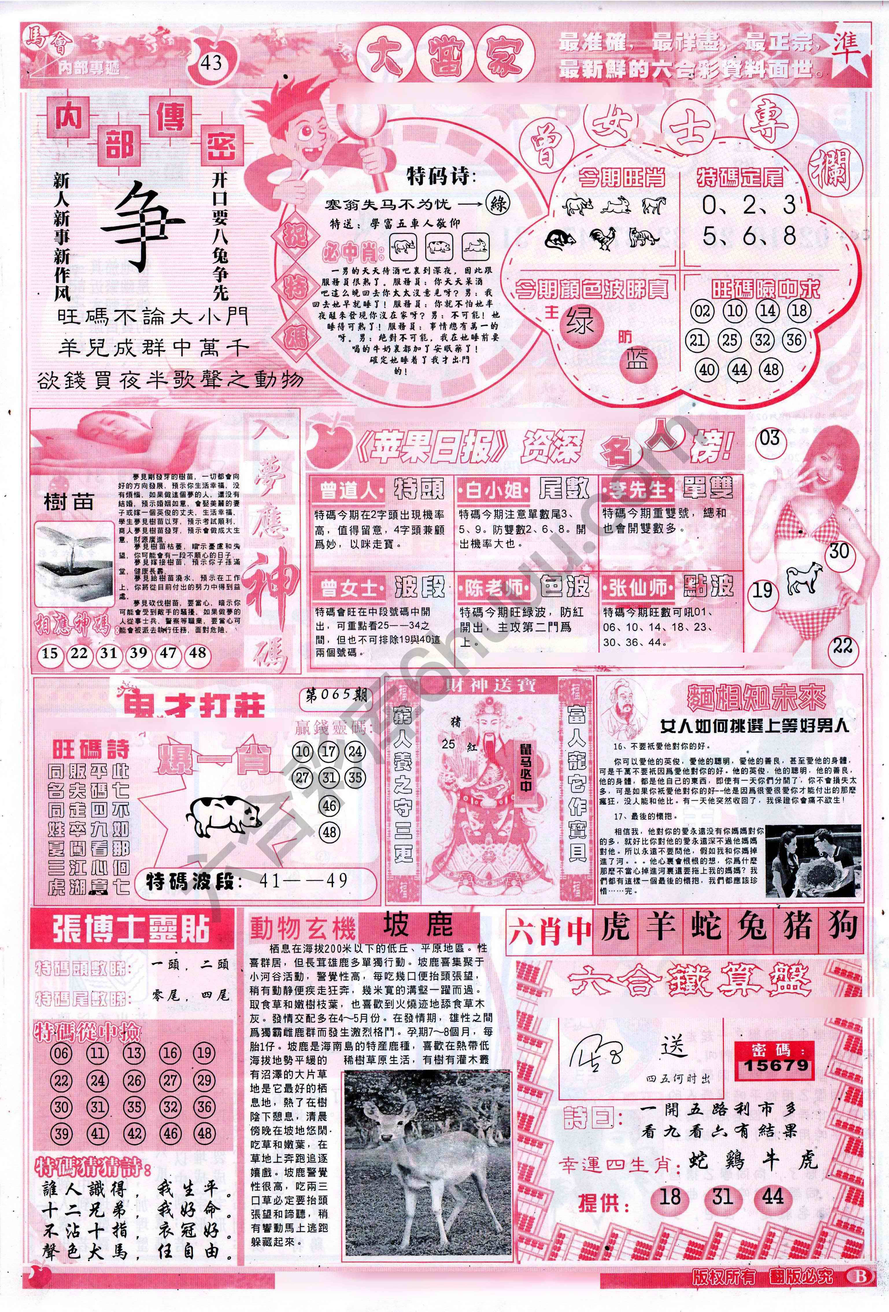 大当家