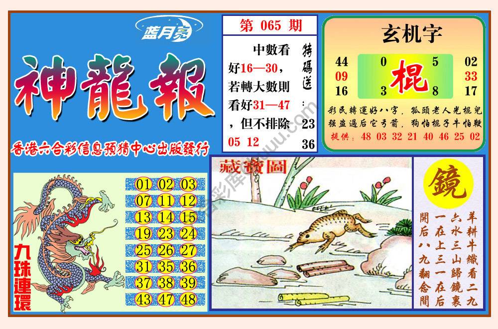 蓝月亮神龙报