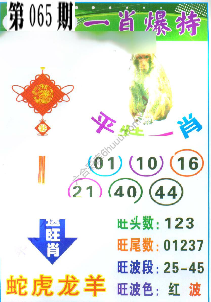 一肖爆特（新版）