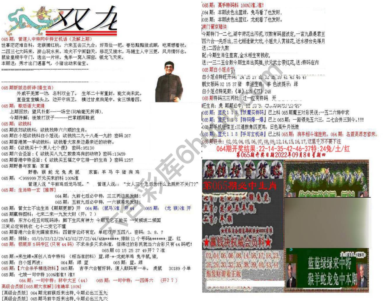 双龙报