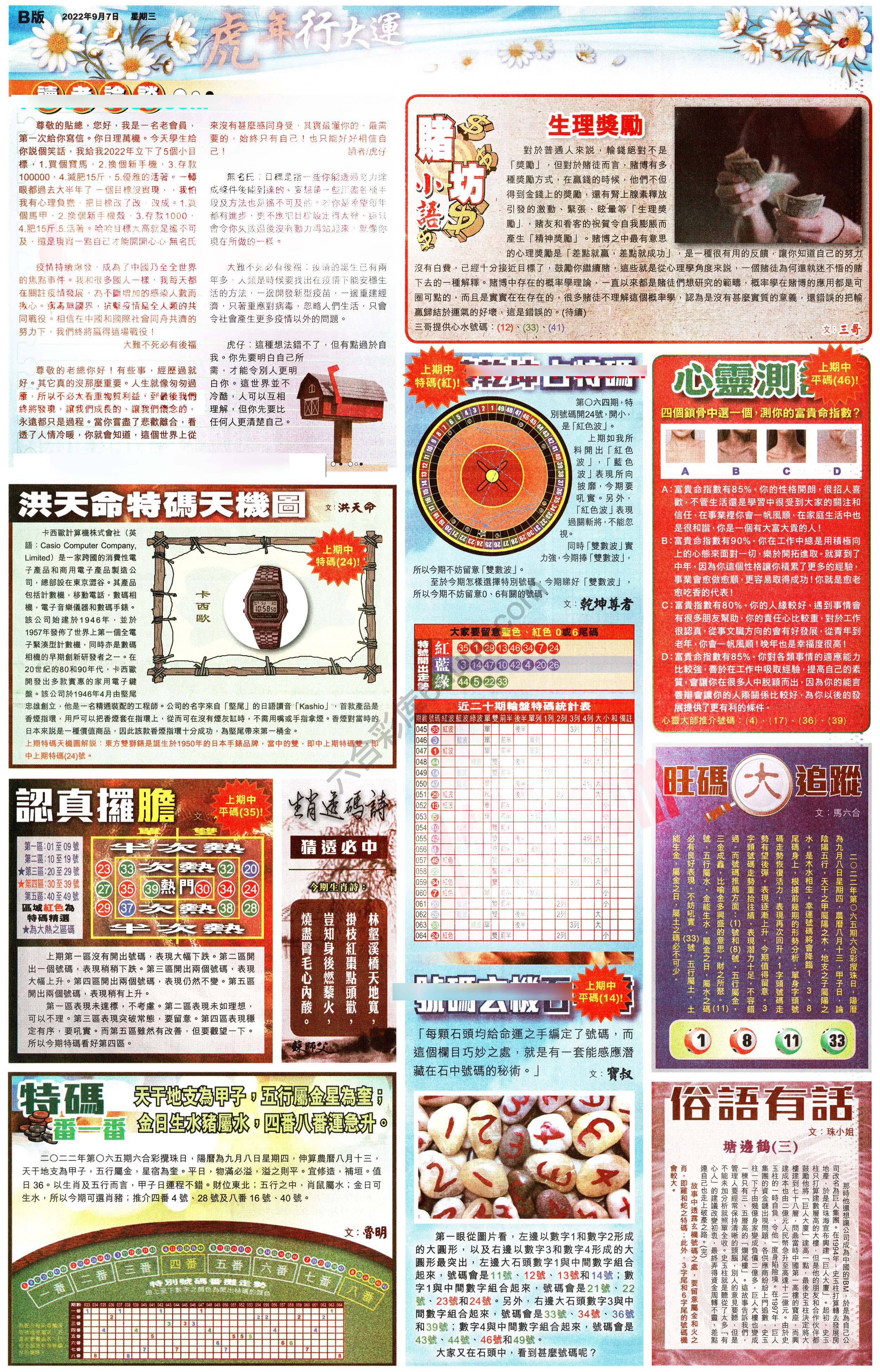 大版贴士皇
