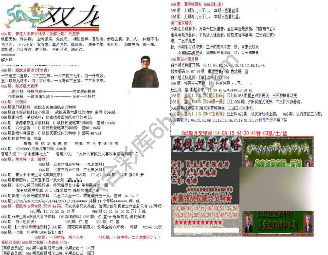 双龙报