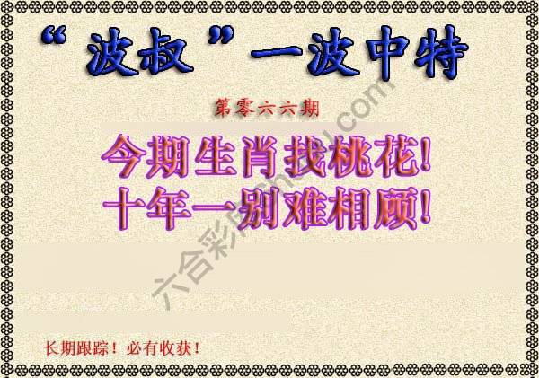 波叔一波中特