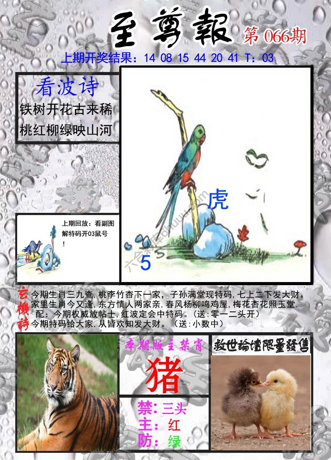 至尊报
