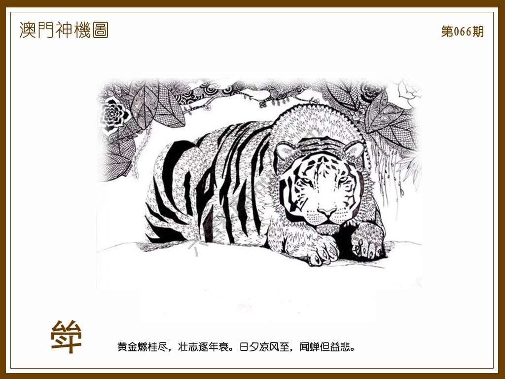 澳门神机图