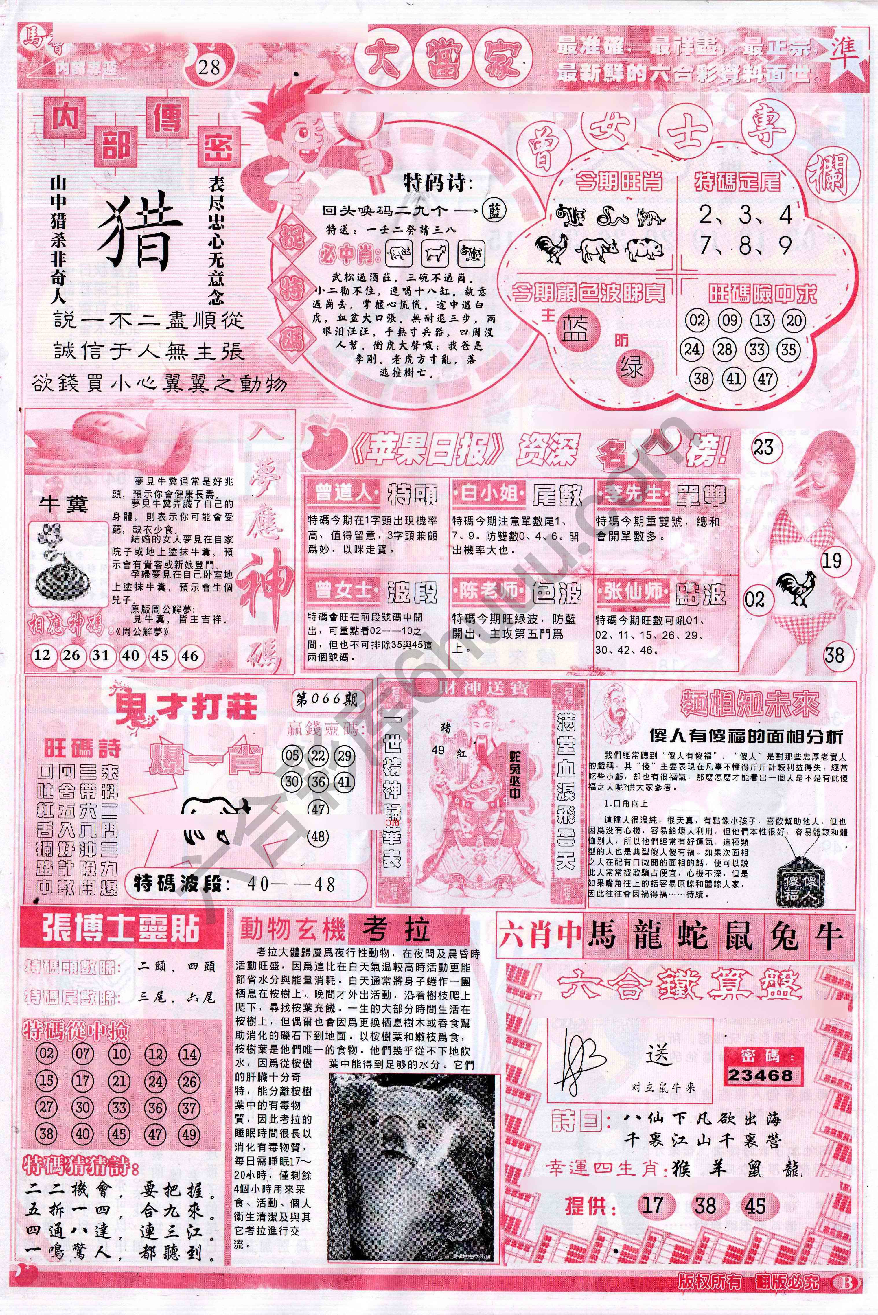 大当家