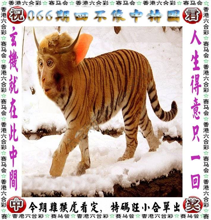 四不像中特图