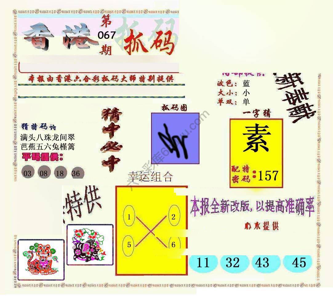 新抓码王