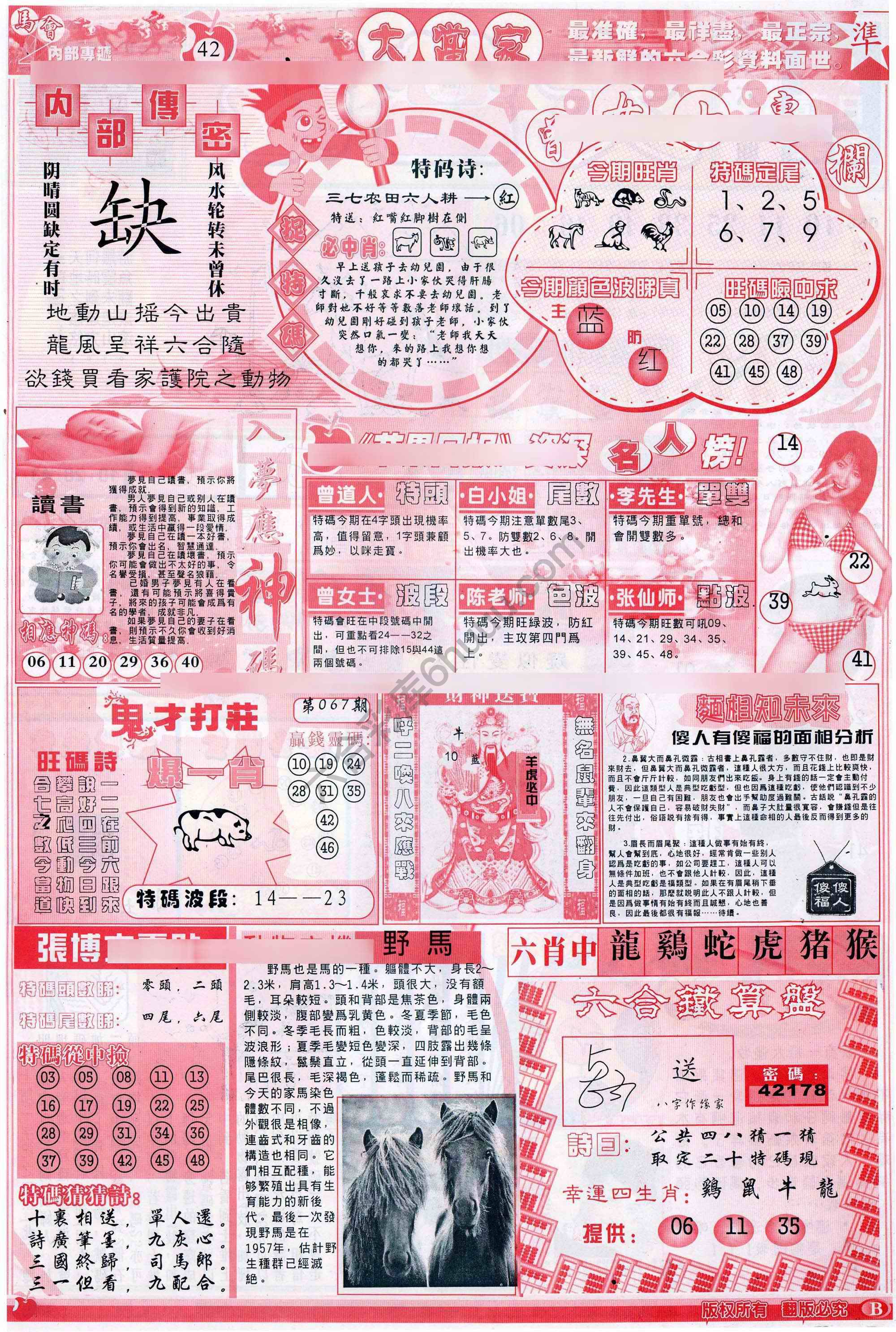 大当家