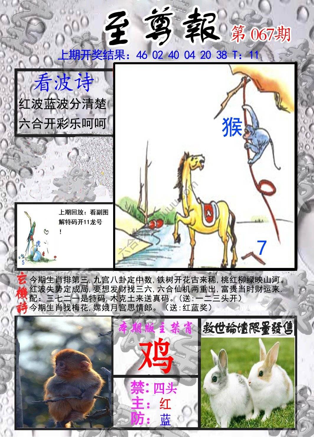 至尊报