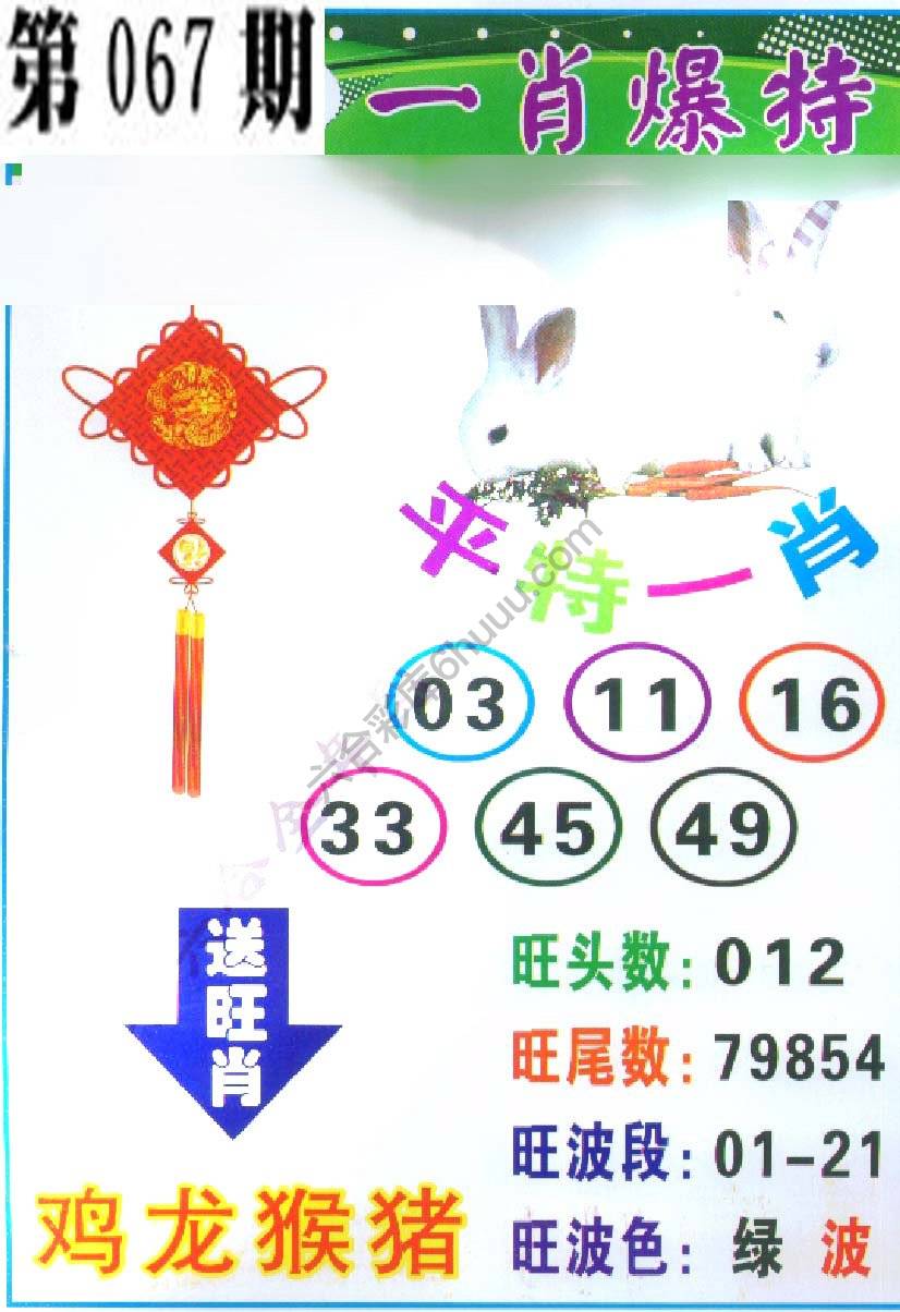 一肖爆特（新版）
