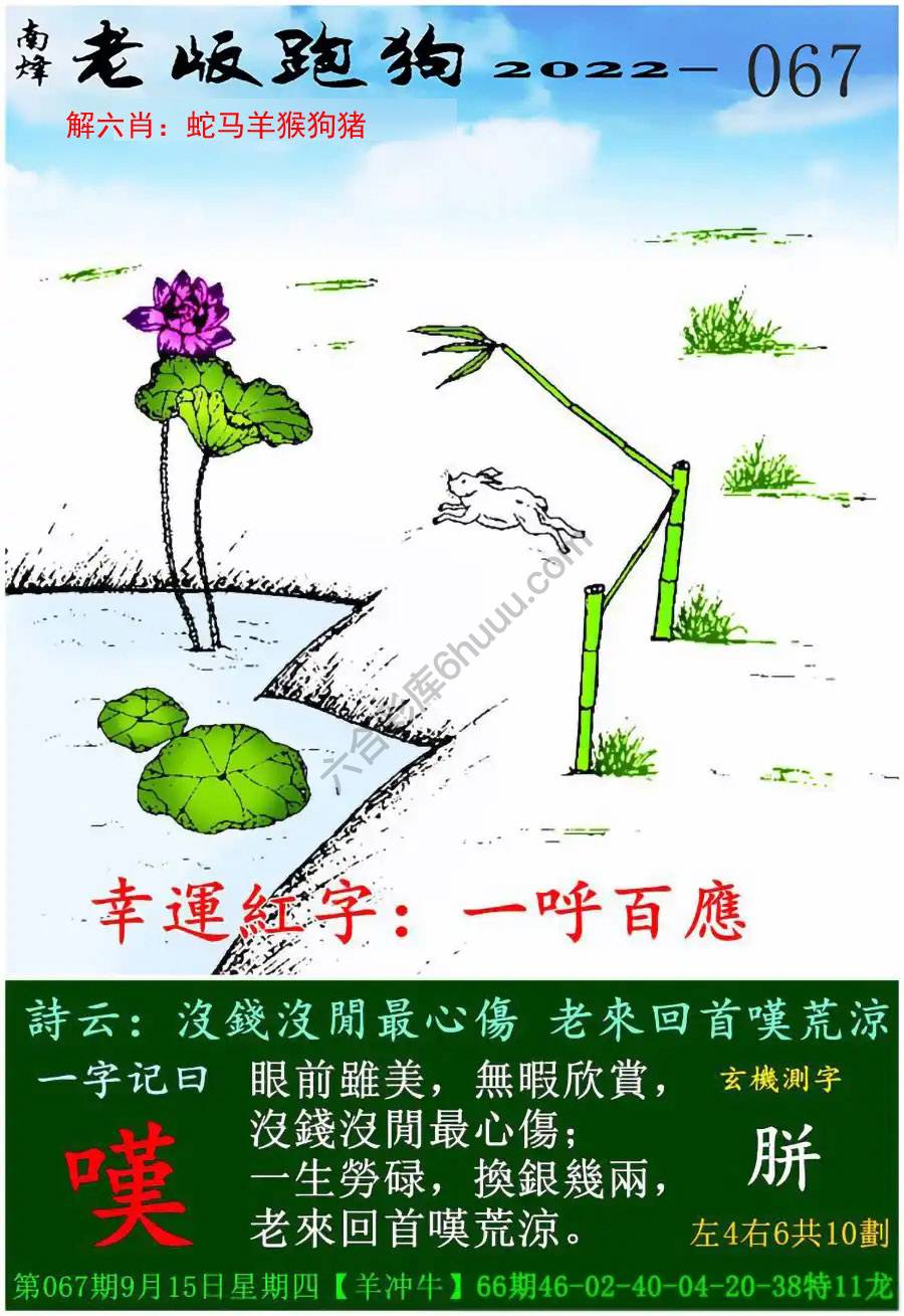 老版跑狗图