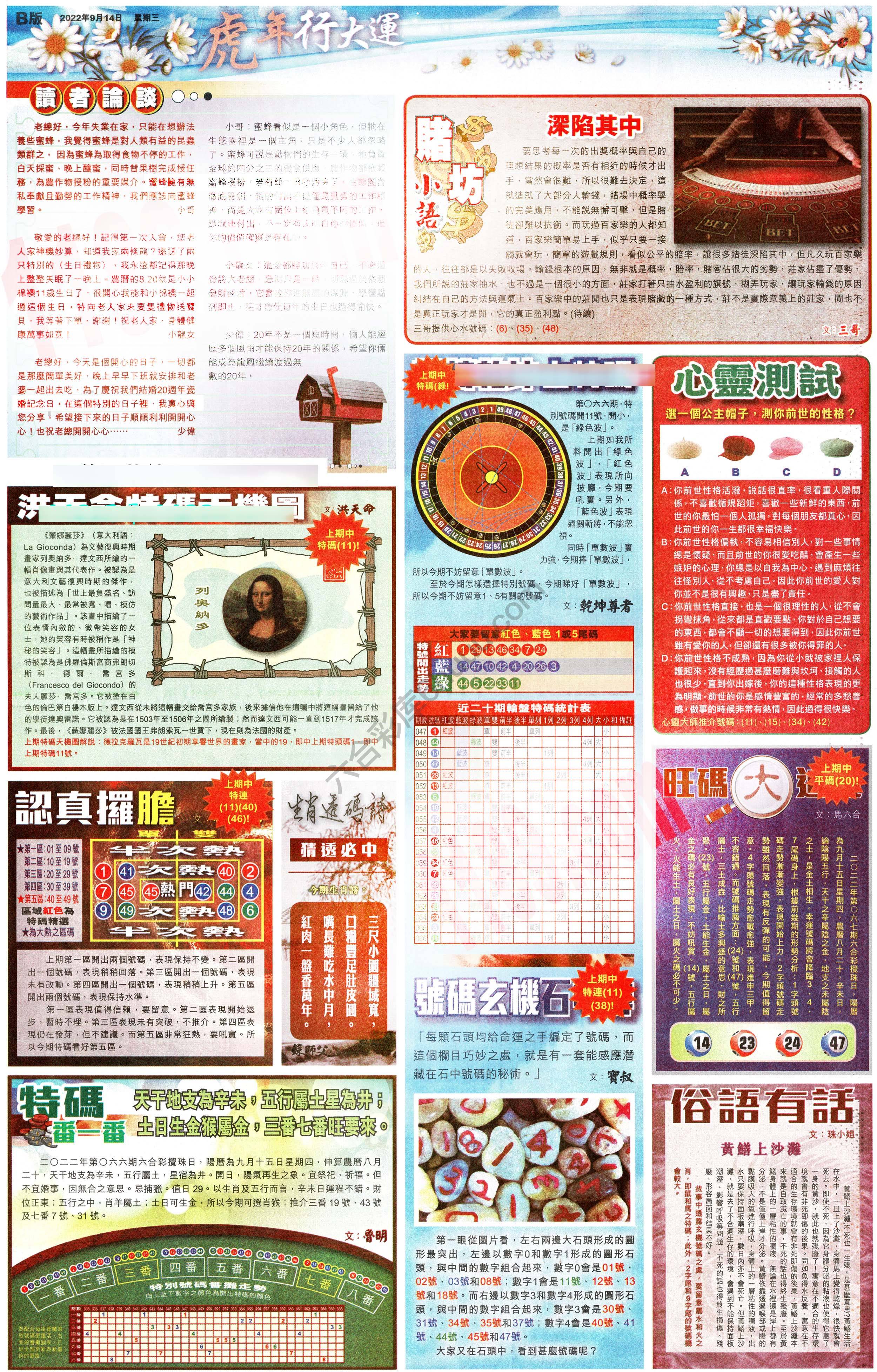 大版贴士皇