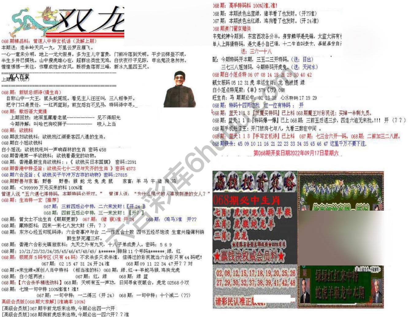 双龙报