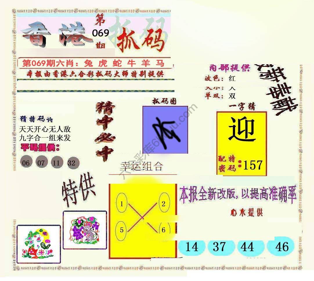 新抓码王