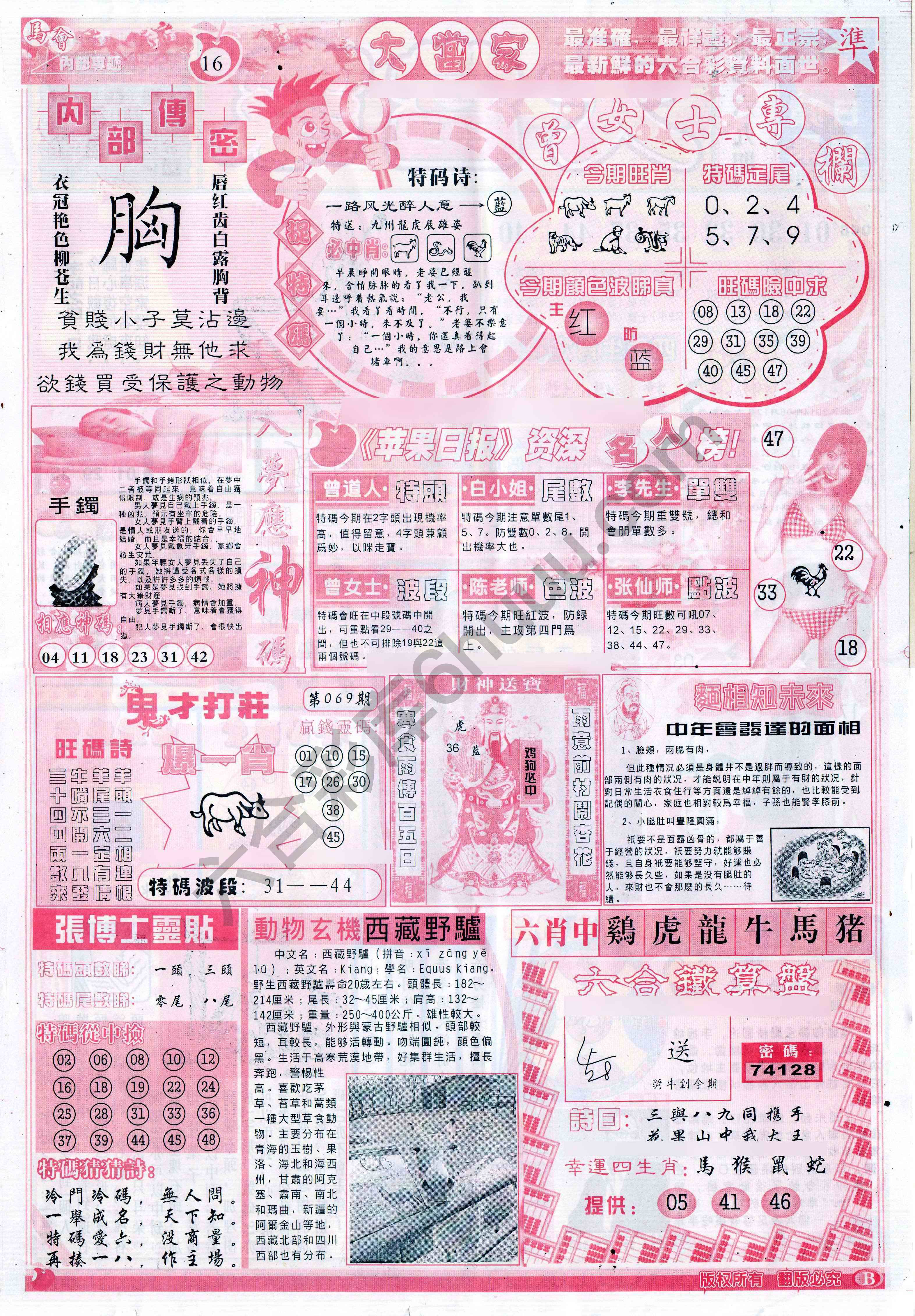 大当家