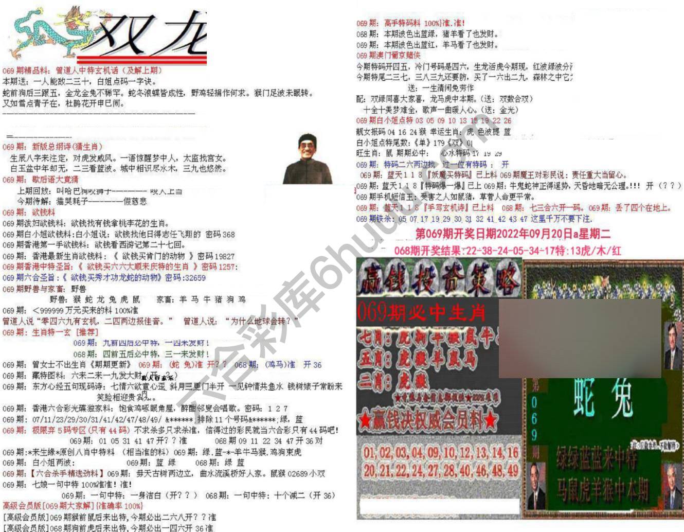 双龙报