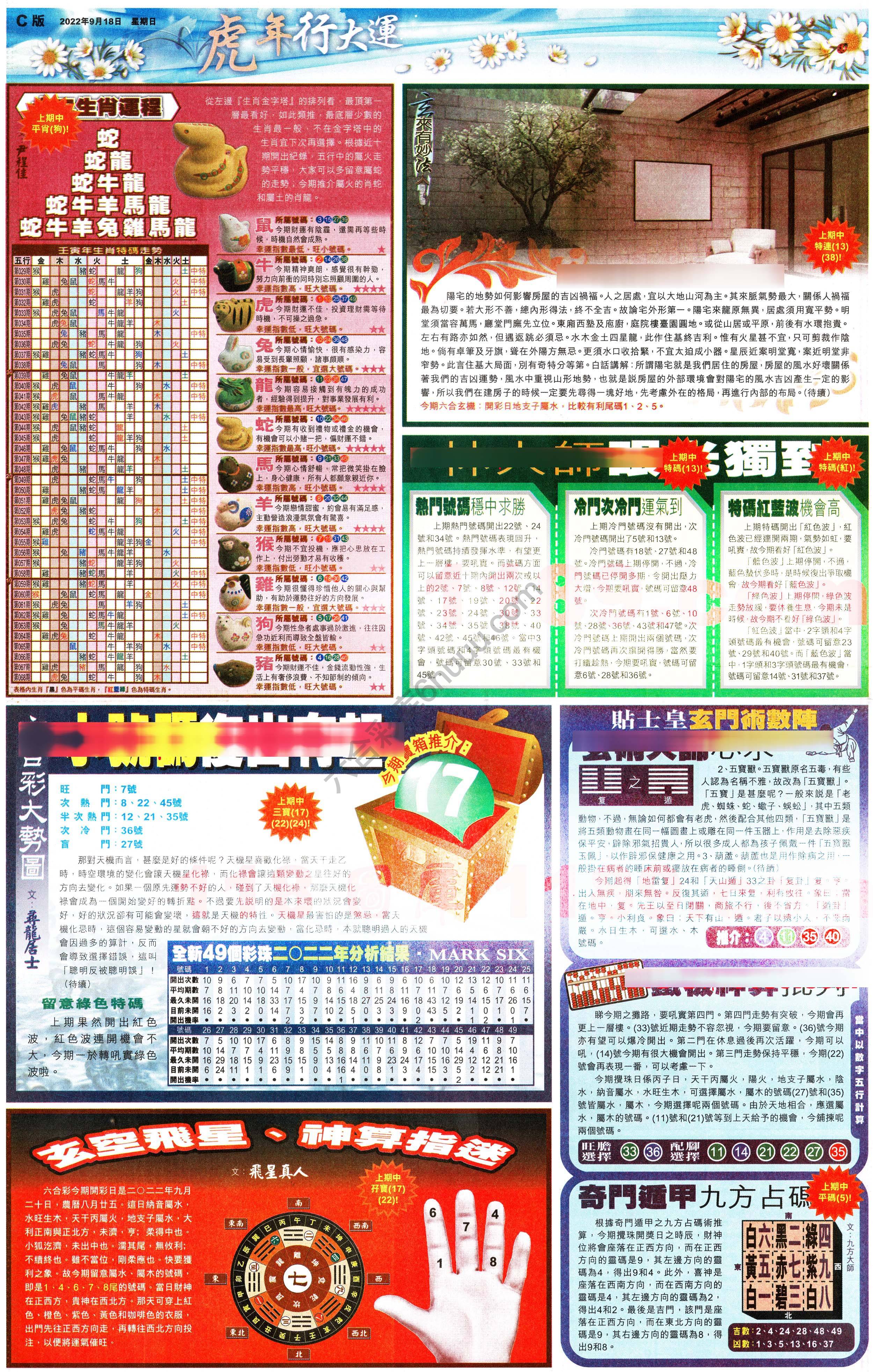 大版贴士皇