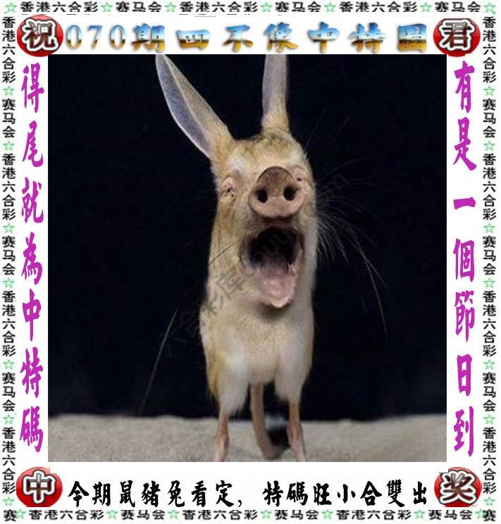 四不像中特图