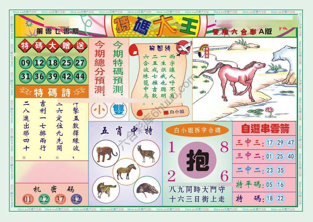 特码大王
