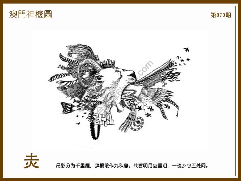 澳门神机图