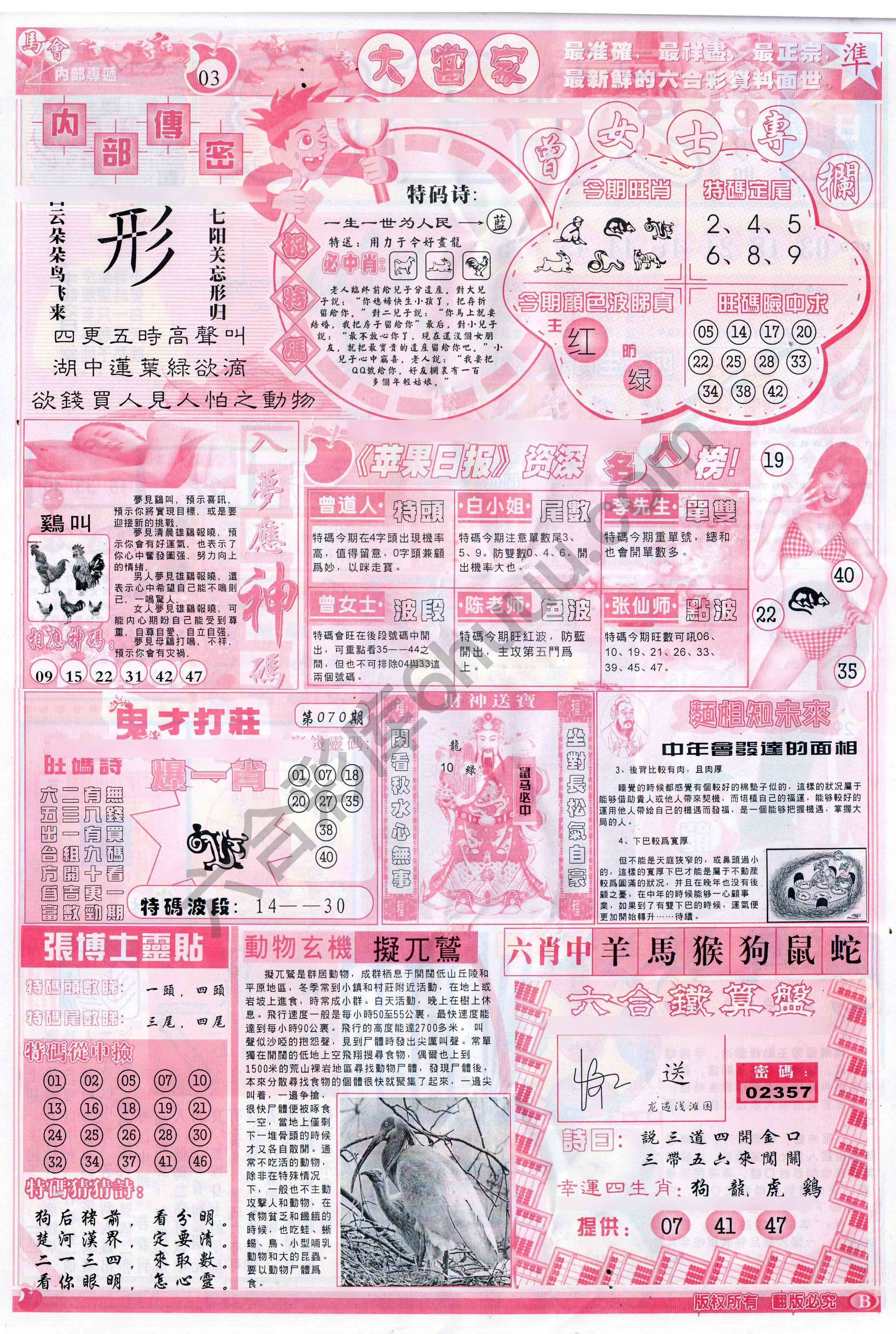 大当家