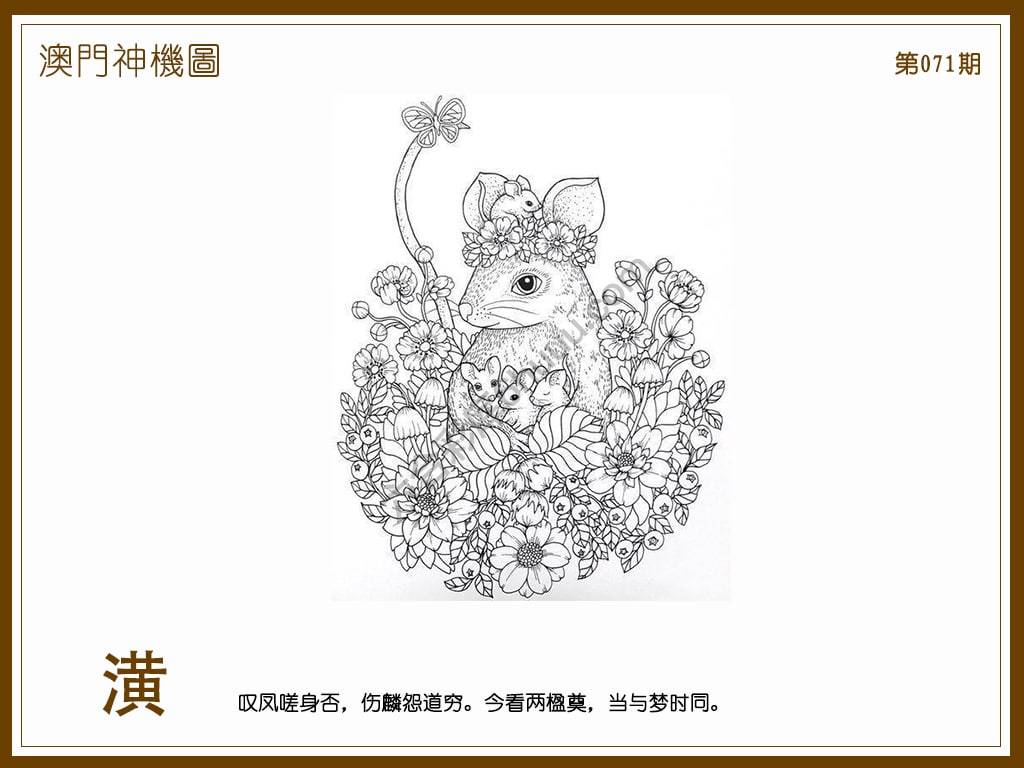 澳门神机图