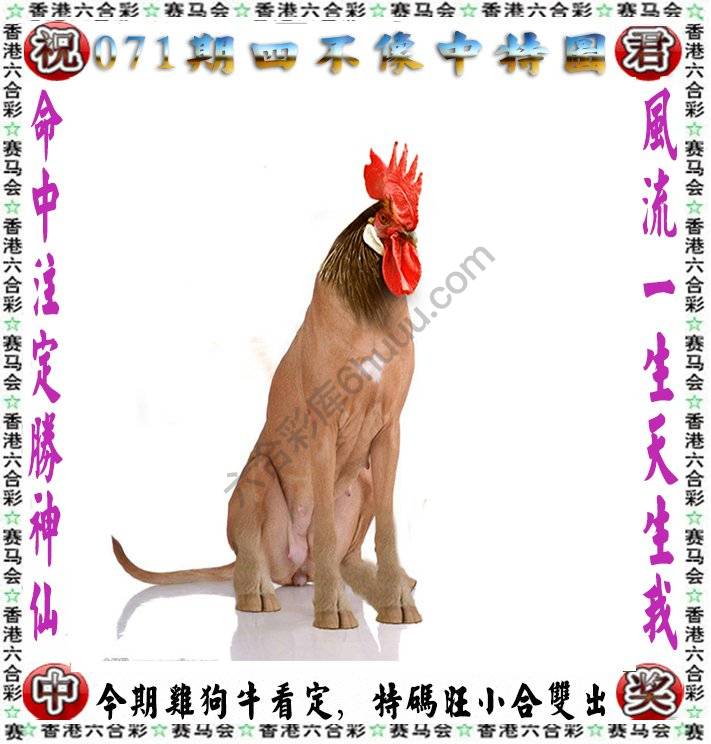 四不像中特图