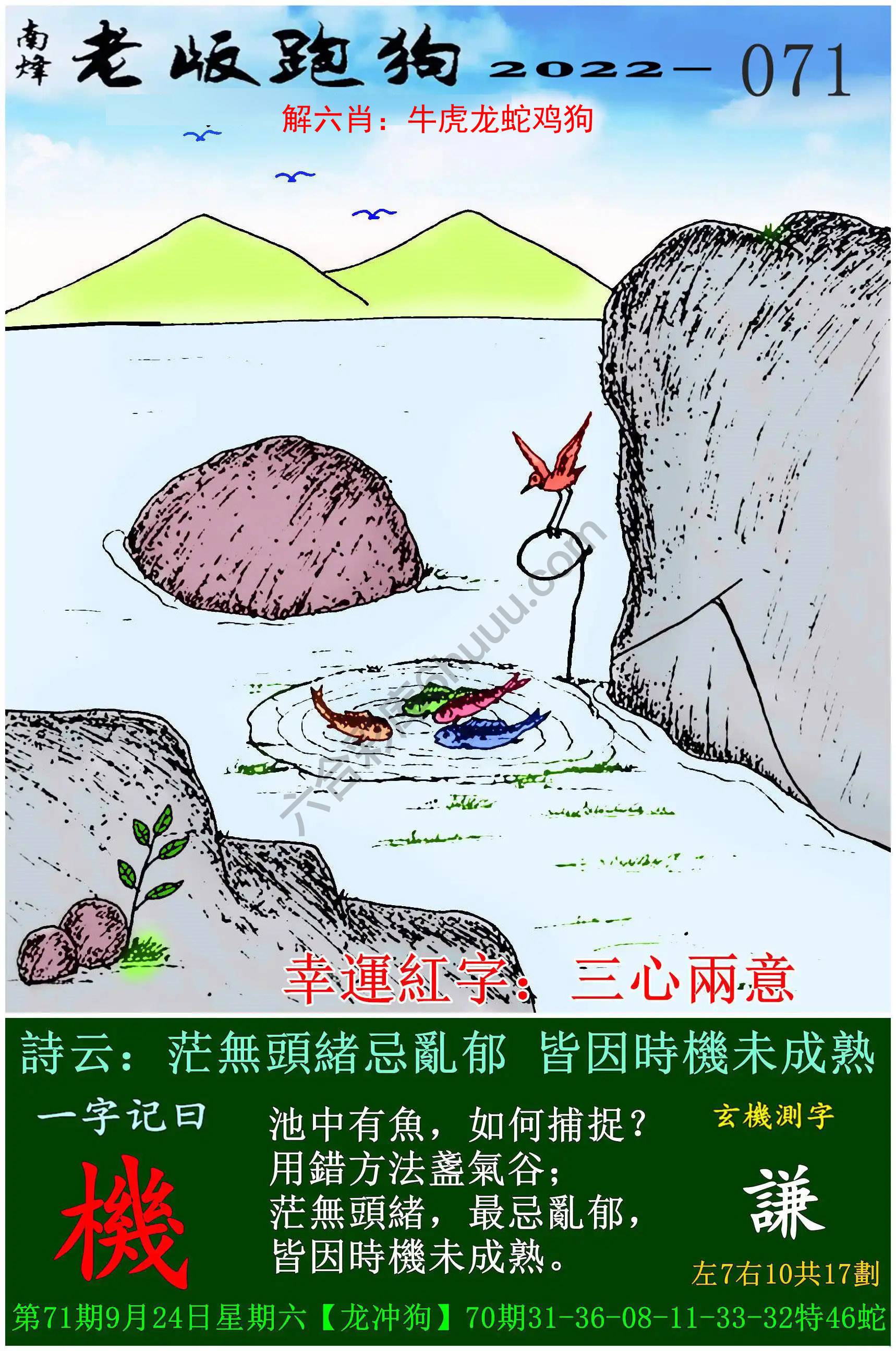 老版跑狗图