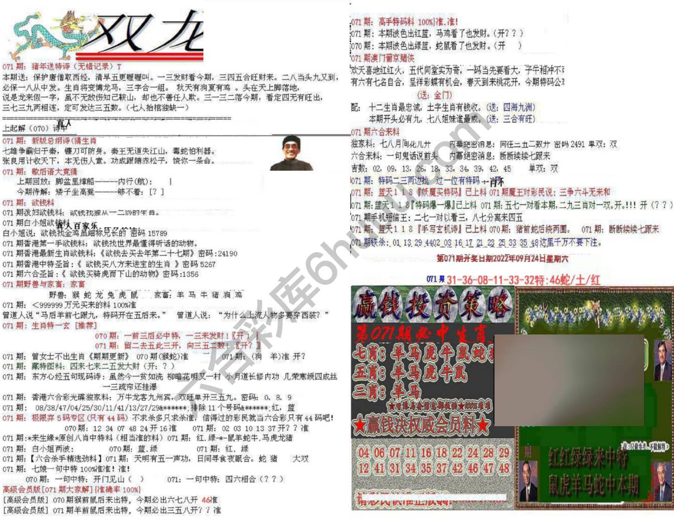 双龙报
