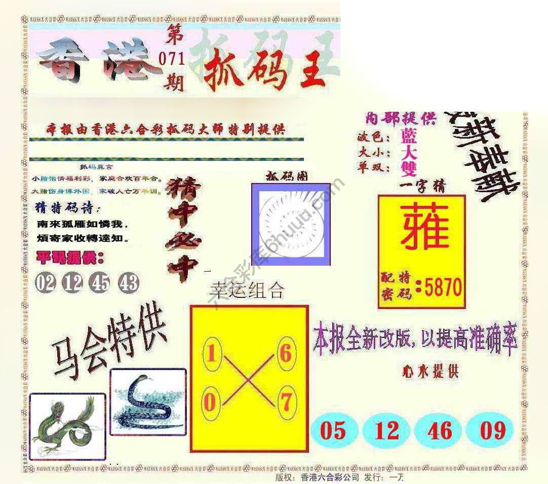 新抓码王