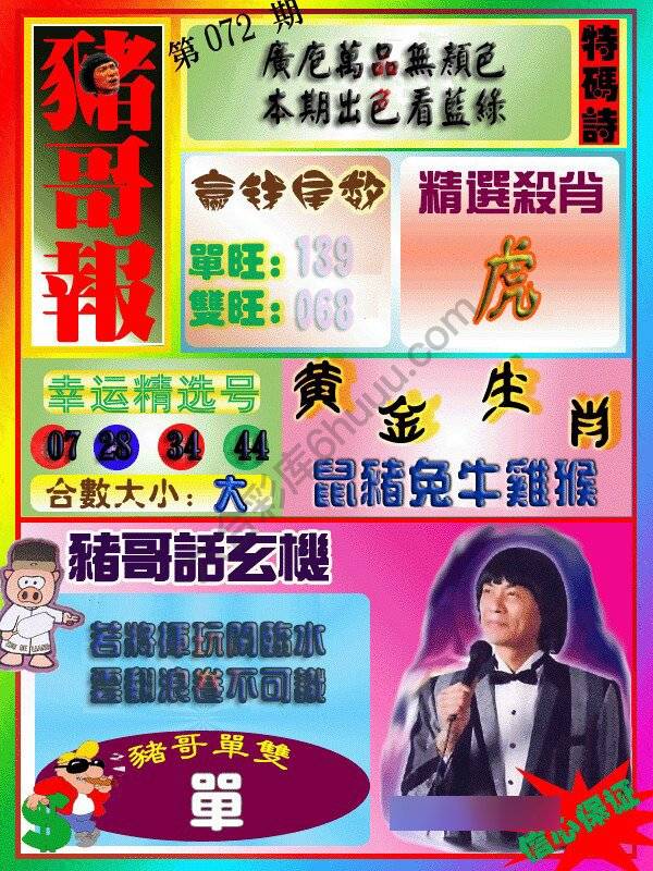 猪哥报