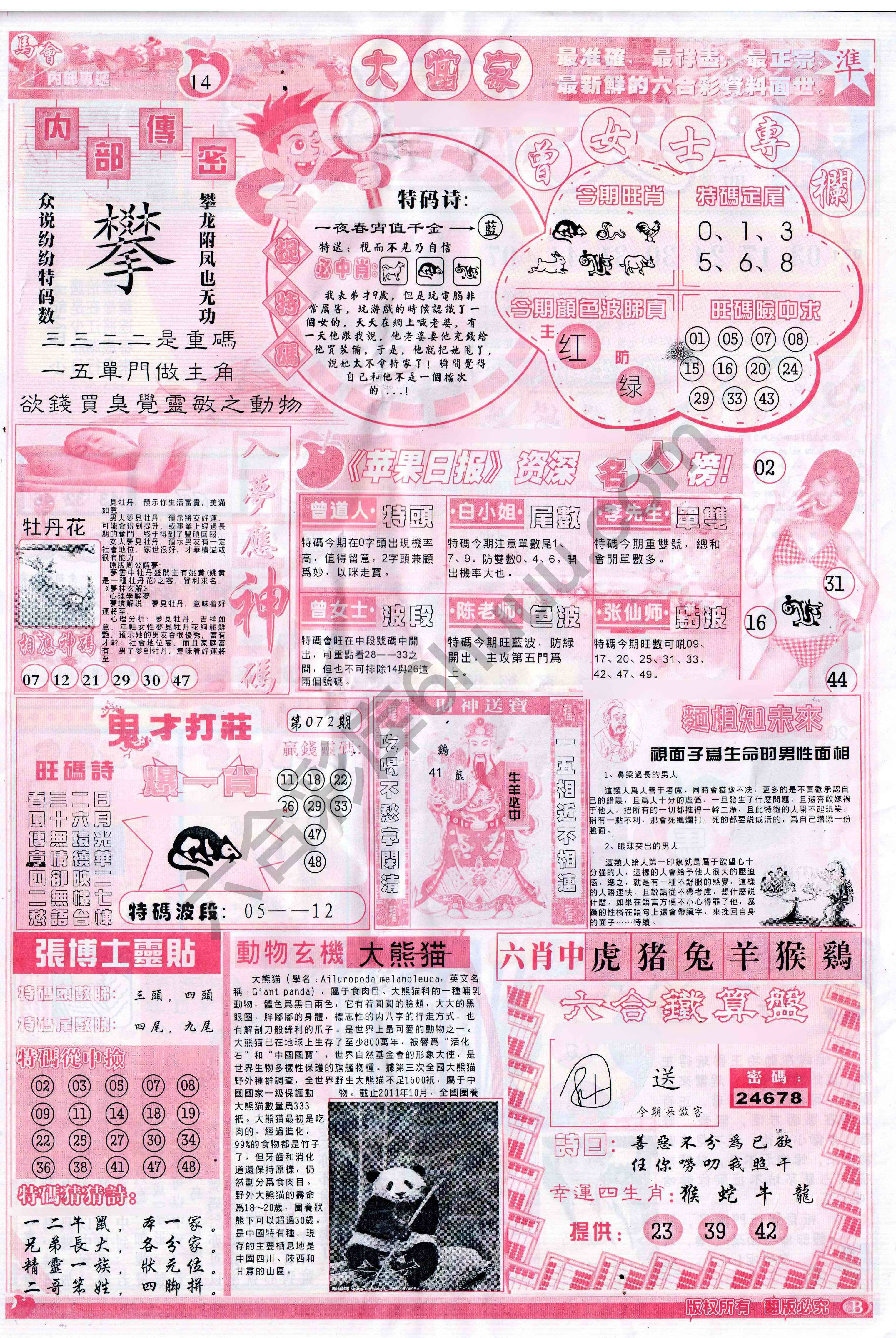 大当家